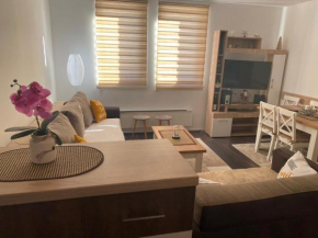Sunčani breg apartman 7